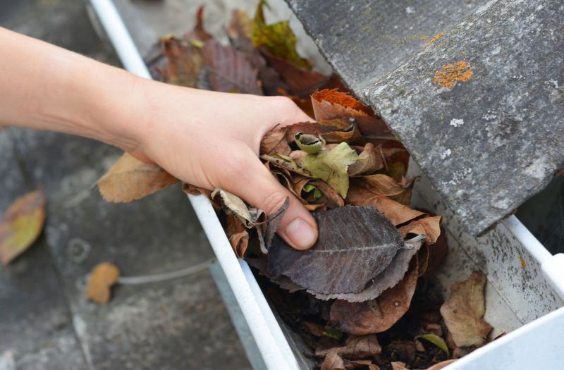 Inspecting Gutters Before Fall